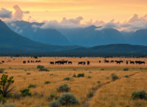 scoprire il sudafrica cosa vedere e fare 1746130312