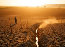 Caldo estremo e agricoltura: rischi, impatti e percorsi di adattamento